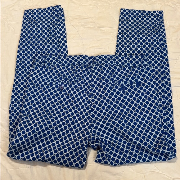 Valerie Stevens Blue and White Patterned Skinny Pants - Picture 7 of 7